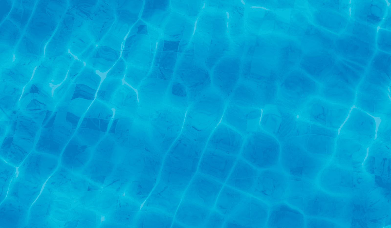 Image2